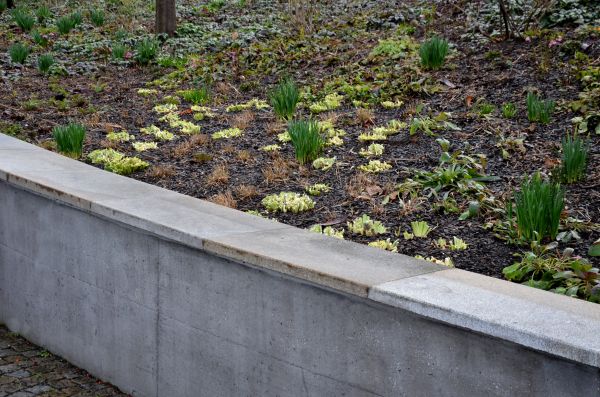 Concrete Wall Construction in Marion
