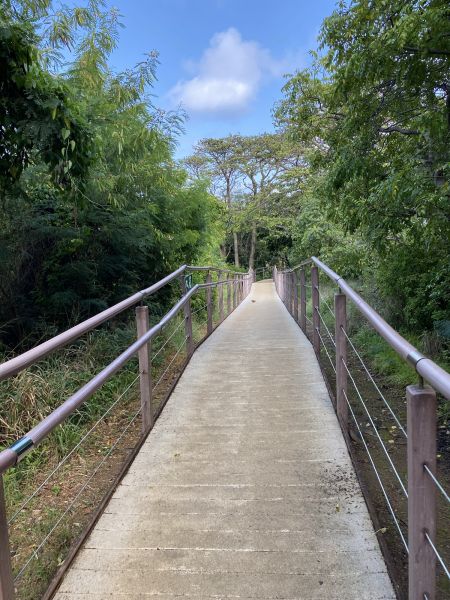 Cost of Footpath Construction in Marion