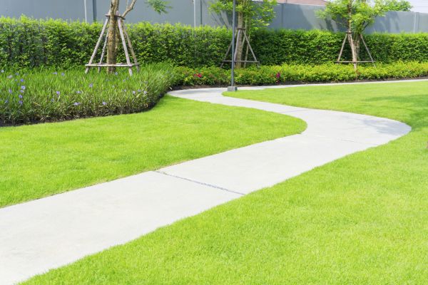 Footpath Development