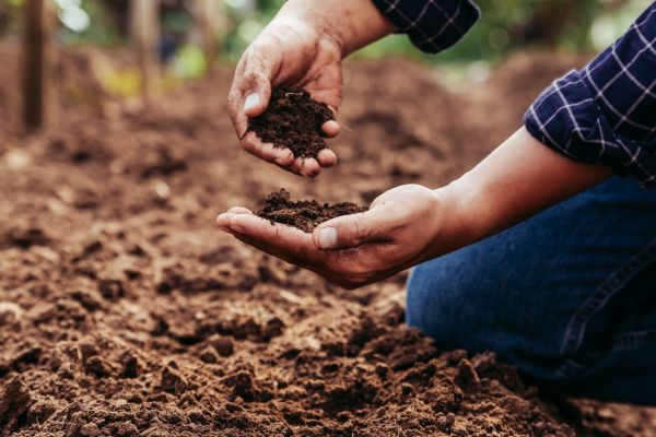 Ground Improvement Services