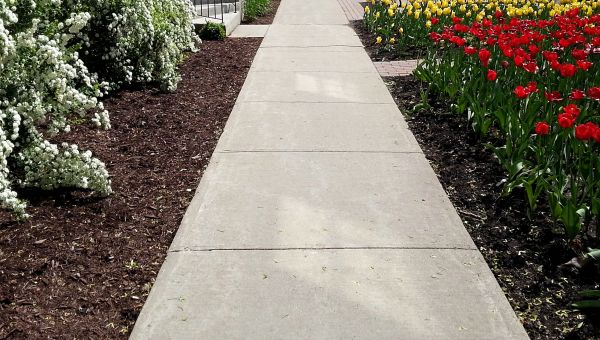 Cost of Sidewalk Slab Replacement in Marion