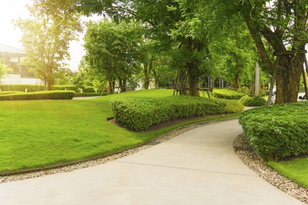 Pedestrian Paving