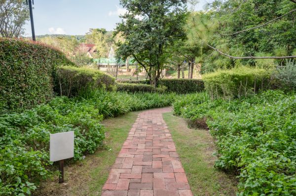 Backyard Pathway Service