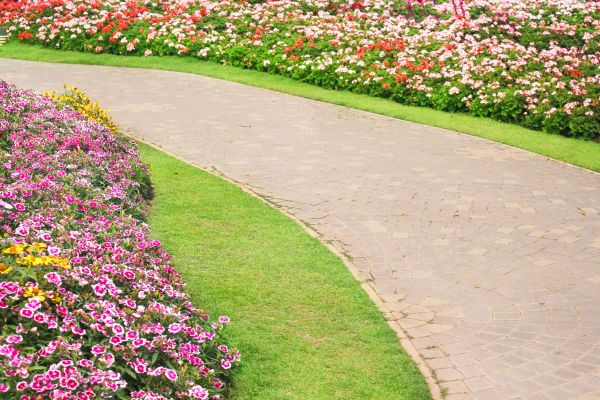 Cost of Concrete Walkway Service in Marion